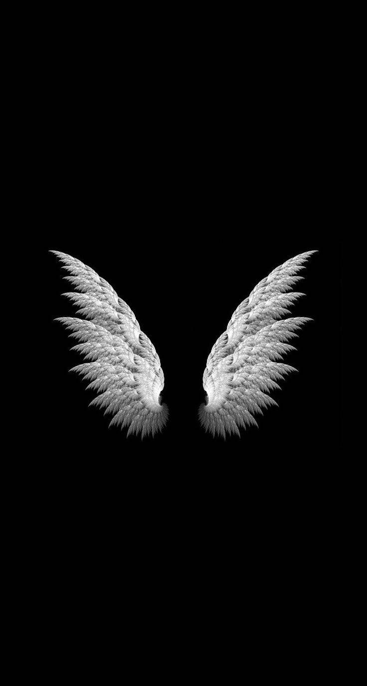 Blank And White Angel Wings Wallpaper