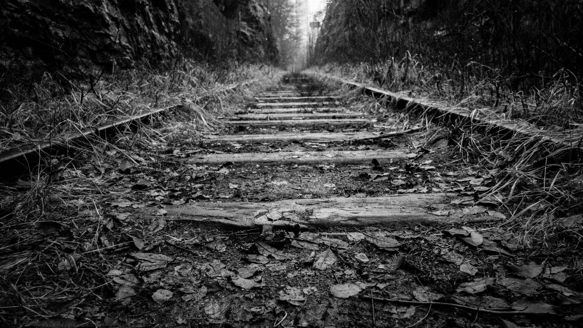 Blank And White Old Train Tracks Wallpaper