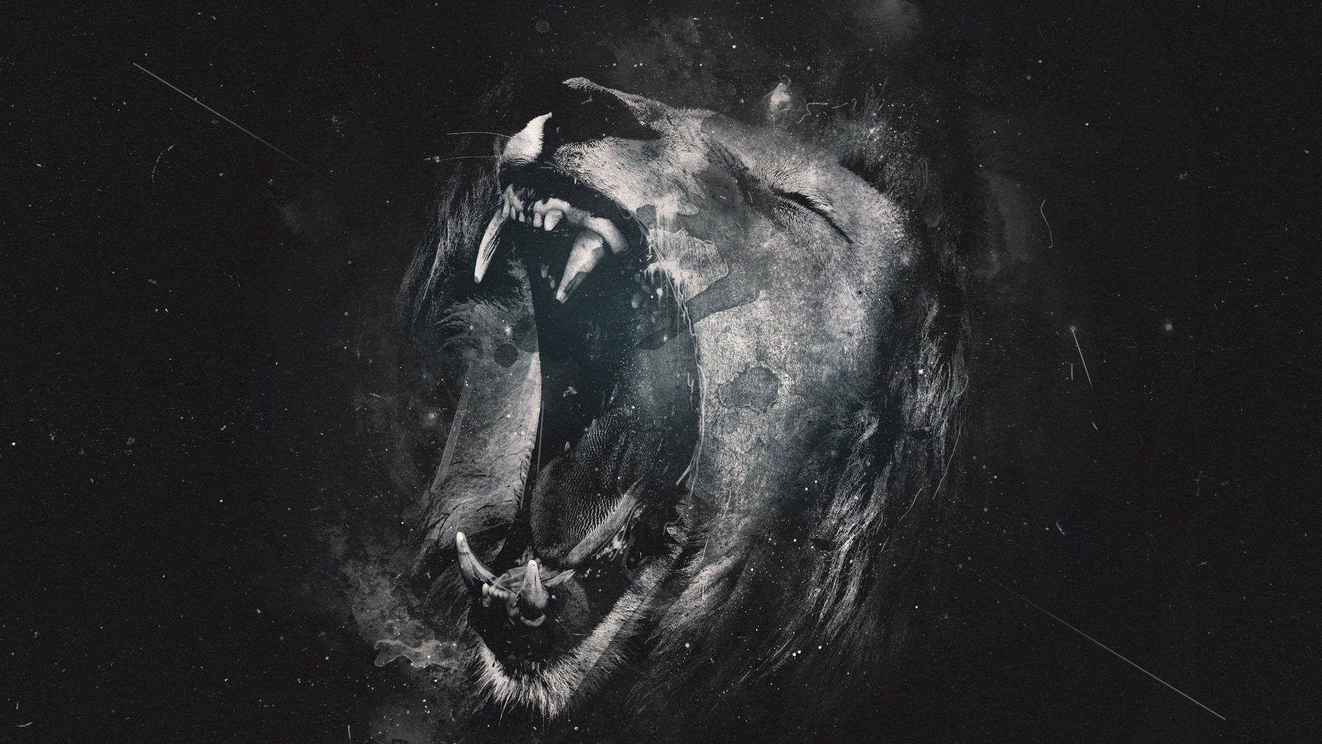 Blank And White Roaring Lion Wallpaper