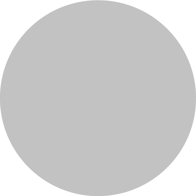 Blank Canvas Grey Circle PNG