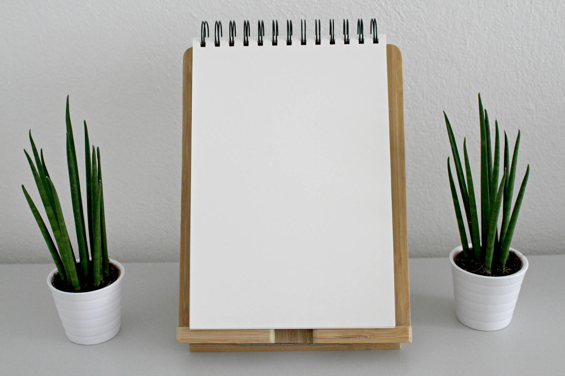 Blank Notepad With Plants Wallpaper