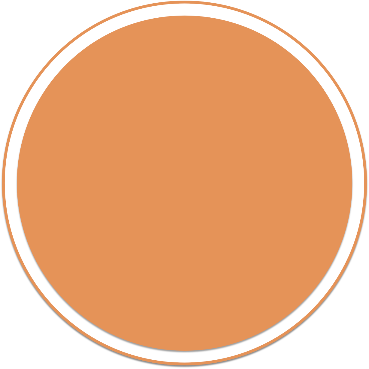 Blank Orange Circle Graphic PNG