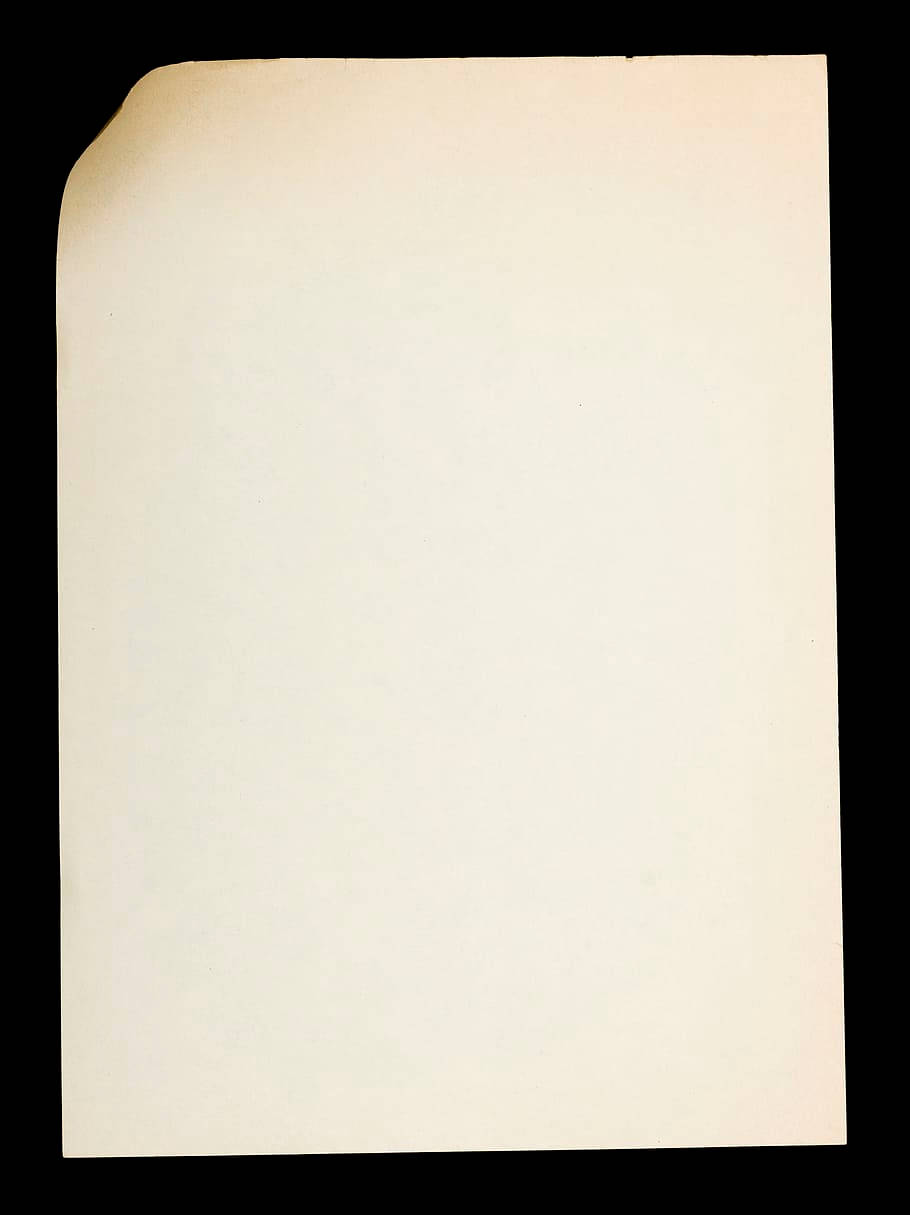 Blank Page Light Parchment Wallpaper
