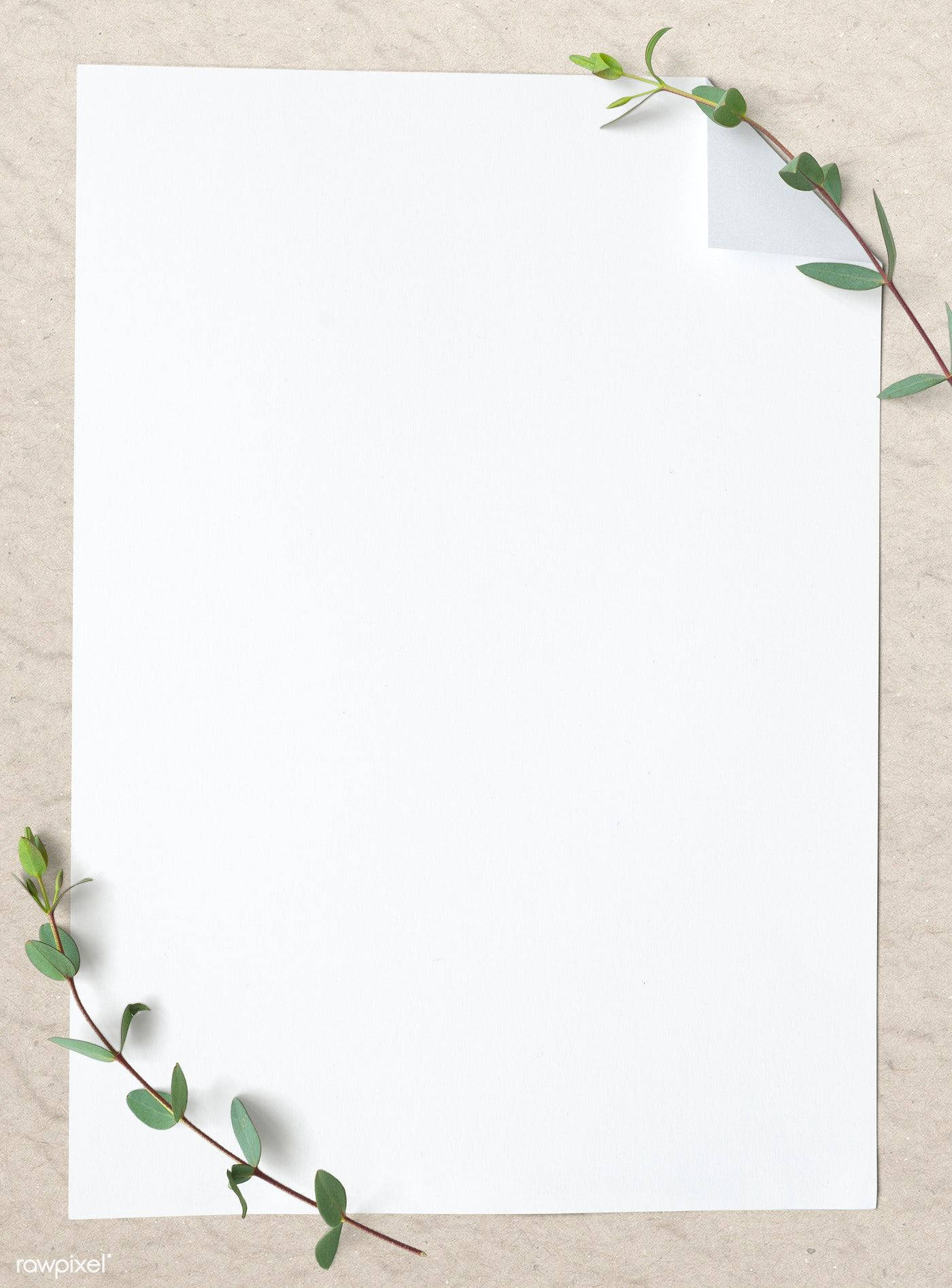 Blank Page Paper With Leaves Wallpaper