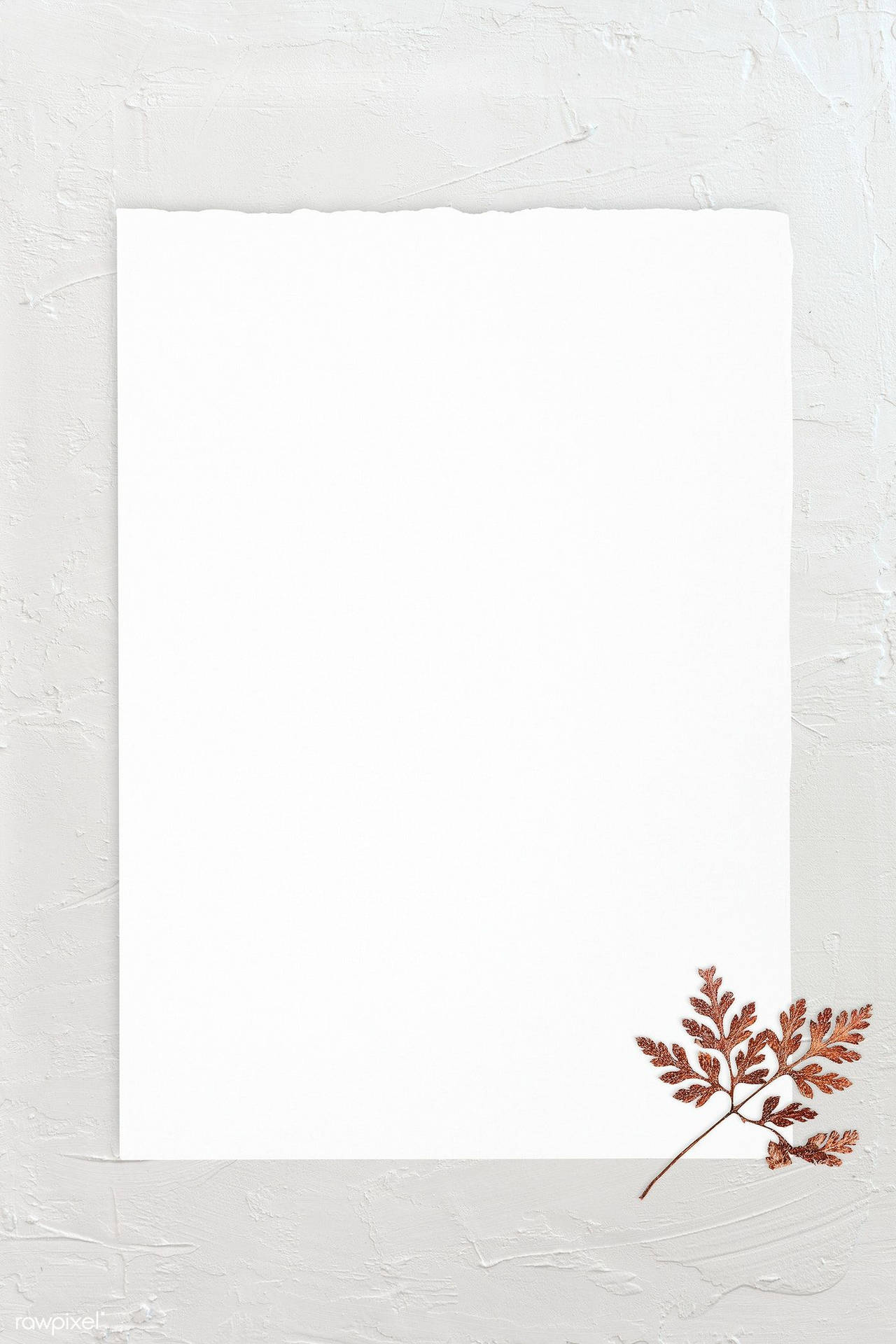 Blank White Frame With Leaf Picture