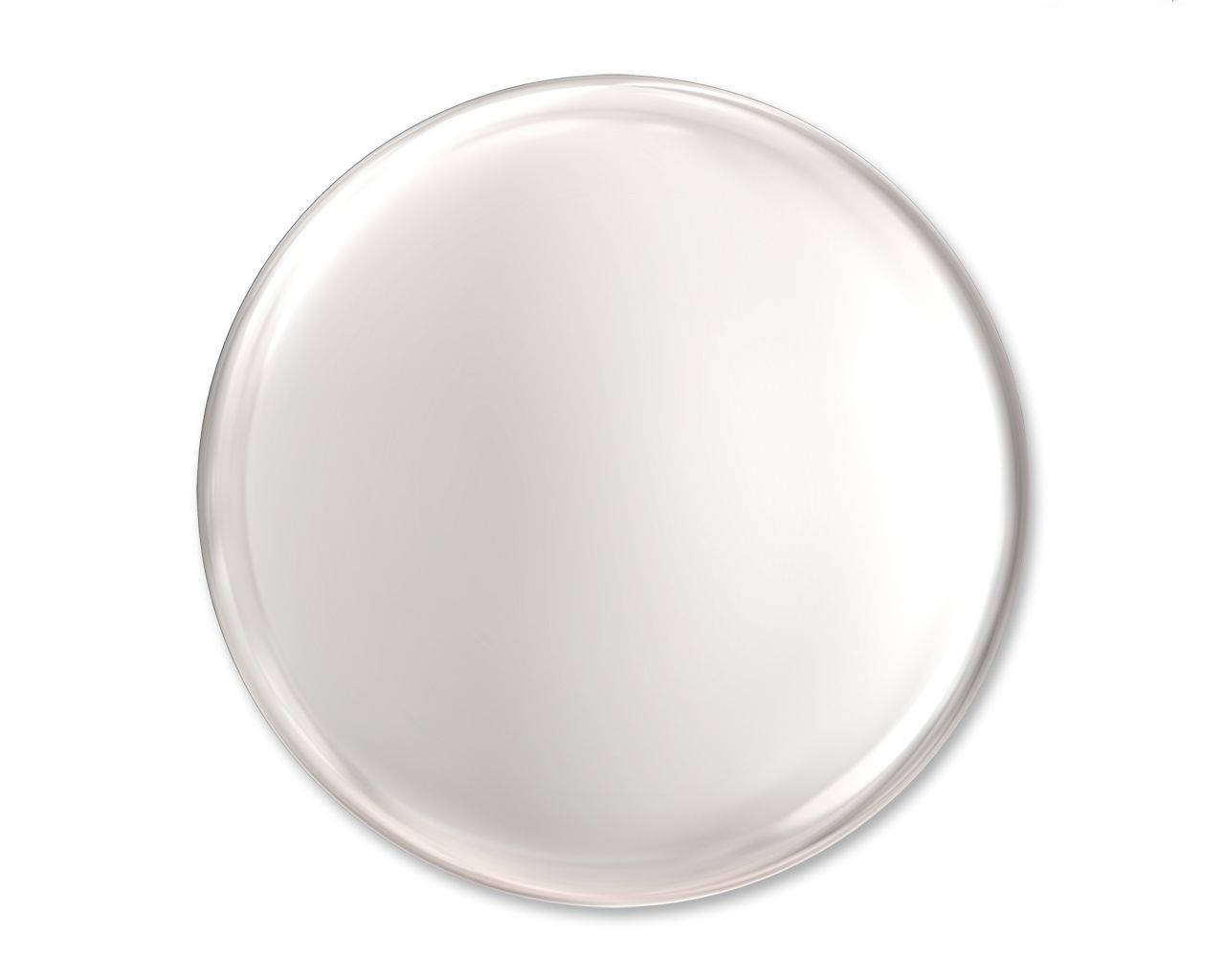 Blank White Gray Circle Picture