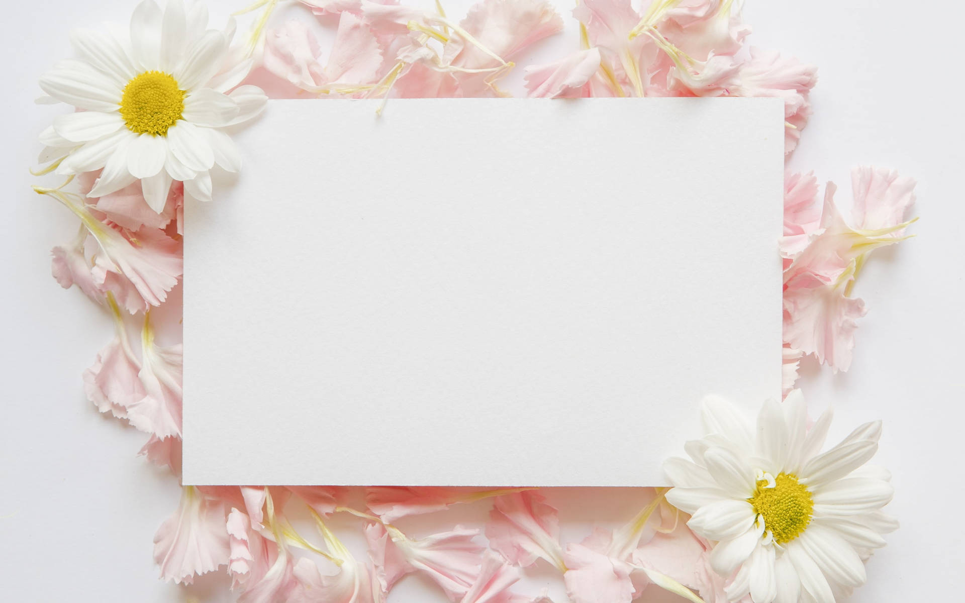 Blank White Paper Floral Aesthetic Picture