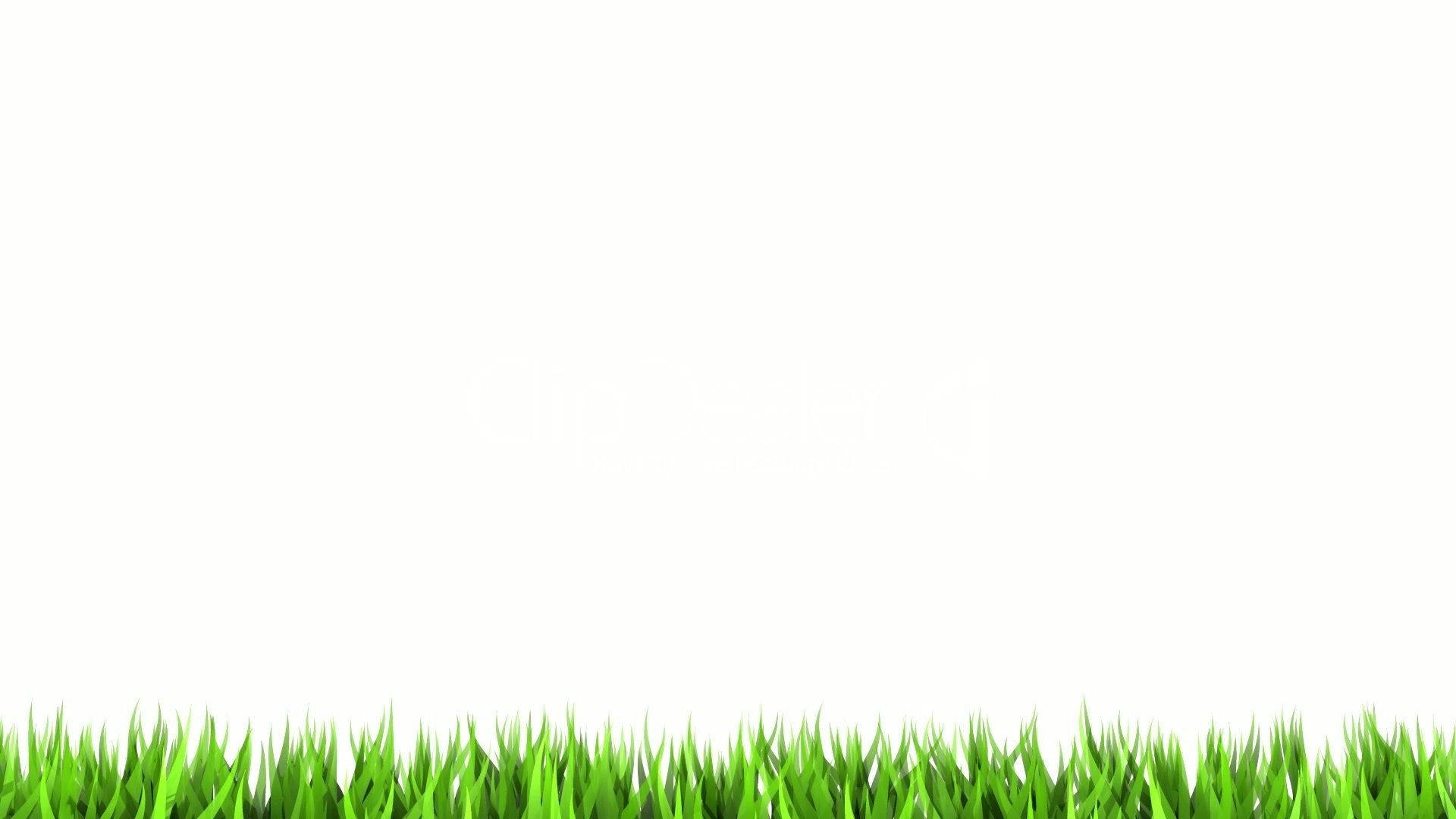 Blank White With Grass Picture