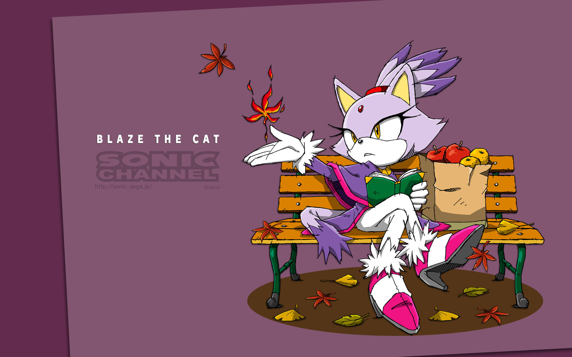 Blaze,die Katze Aus Sonic The Hedgehog. Wallpaper