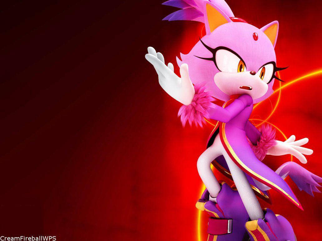 silver the hedgehog and blaze the cat wallpaper