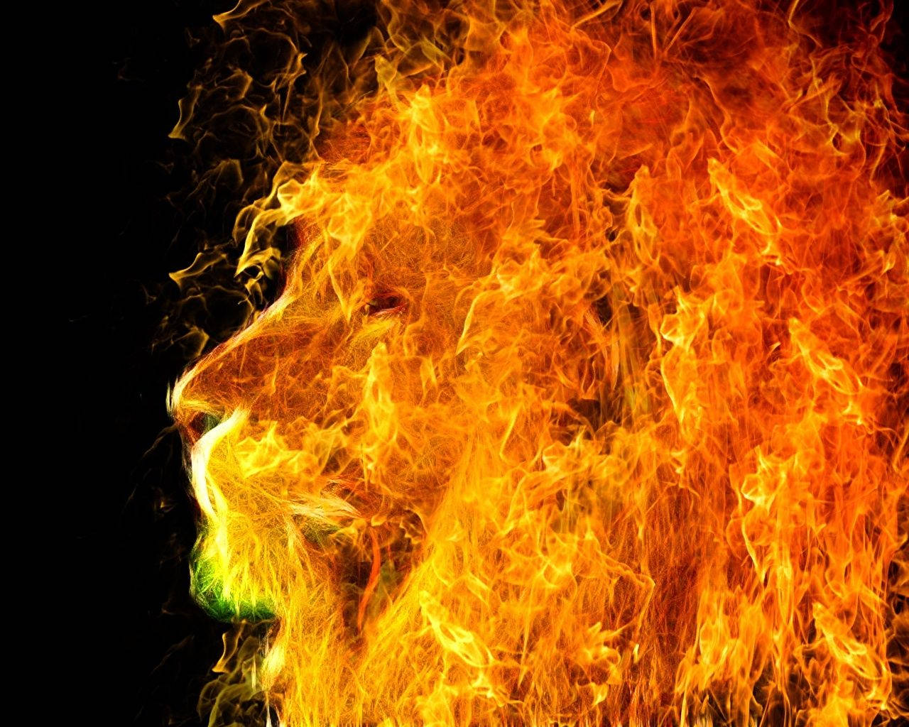 Blazing Fire Lion In Dark Backdrop Wallpaper