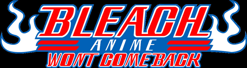 Bleach Anime Return Statement PNG