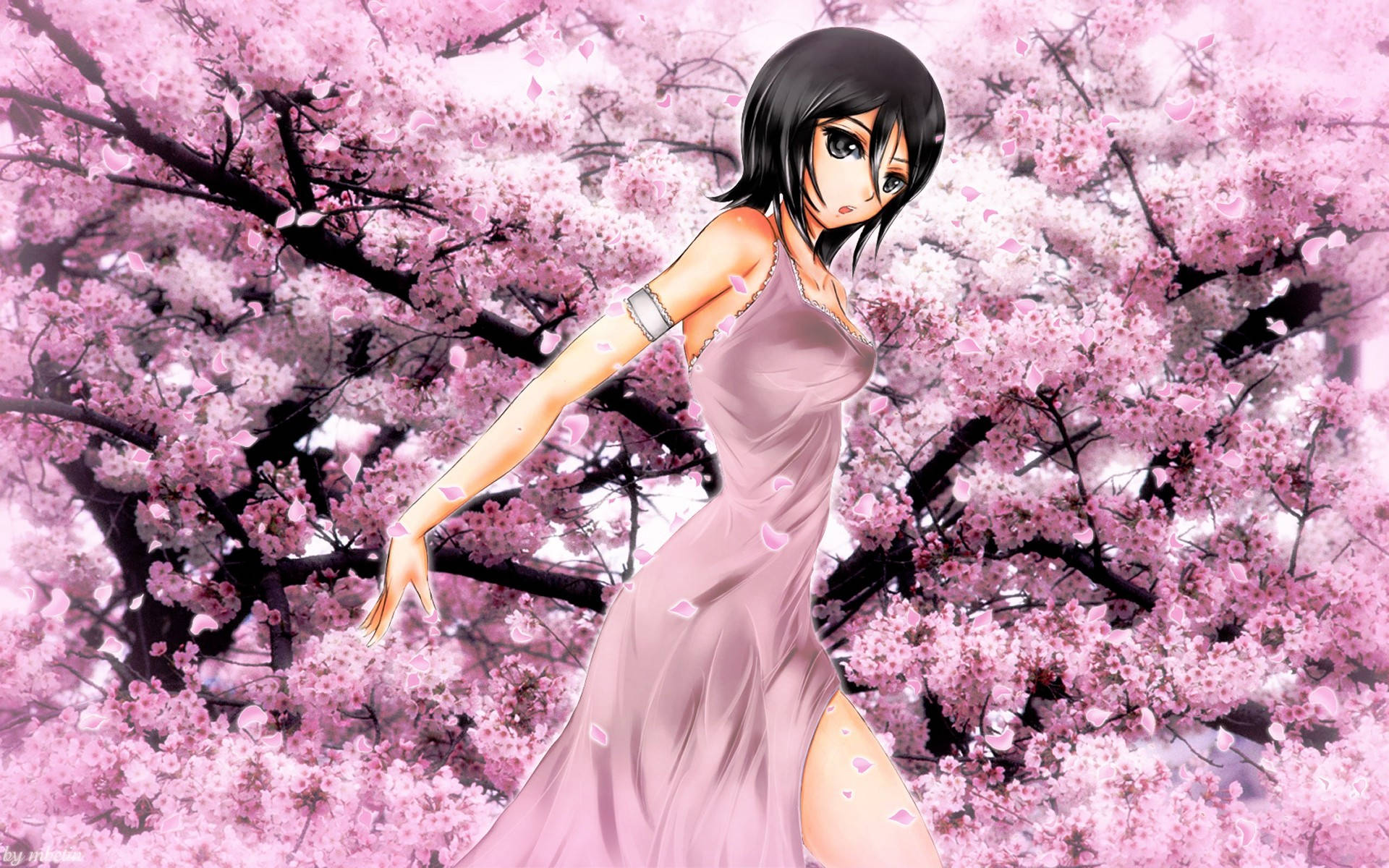 Bleach Anime Rukia Cherry Blossom Wallpaper