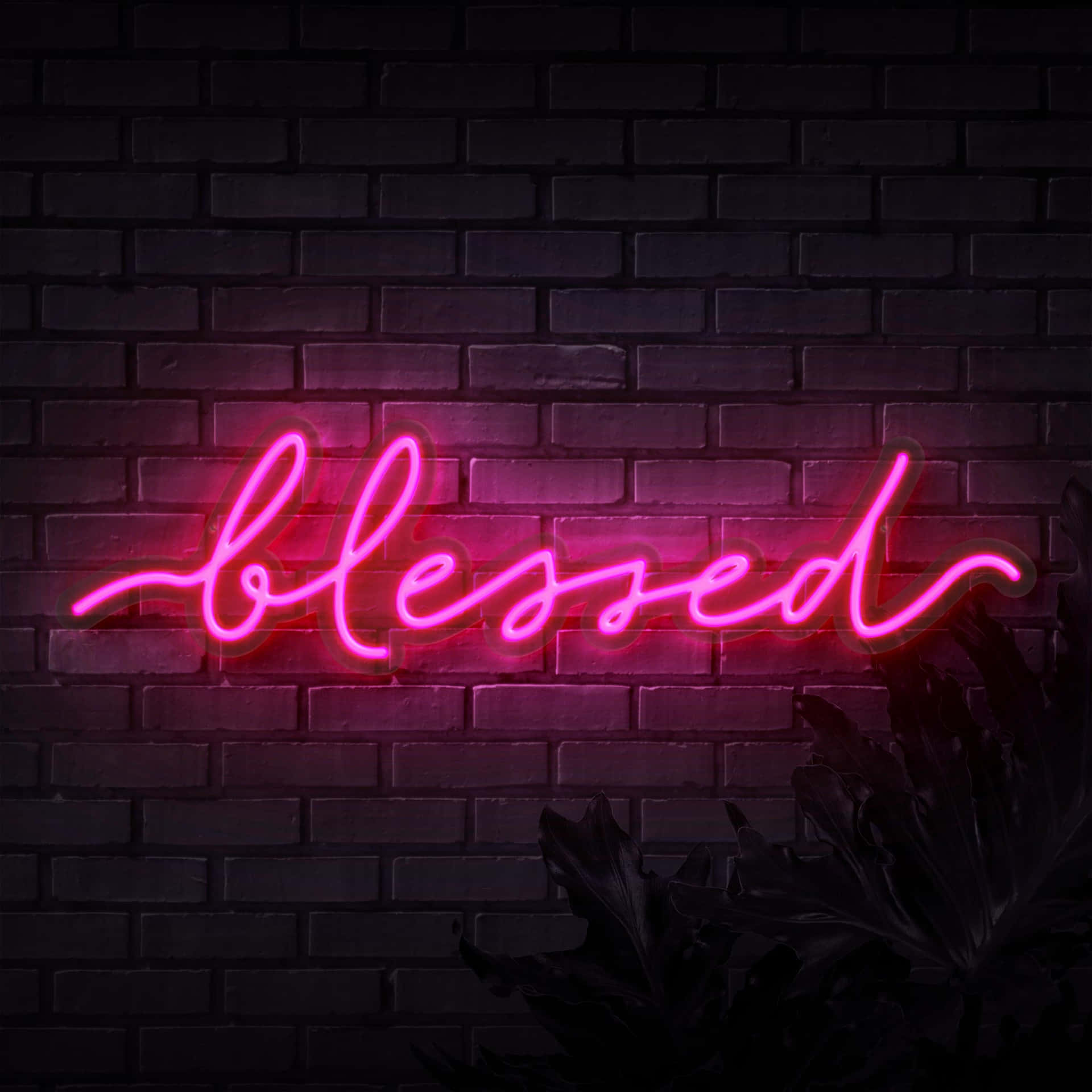 Blessed In Neon Lights Wallpaper