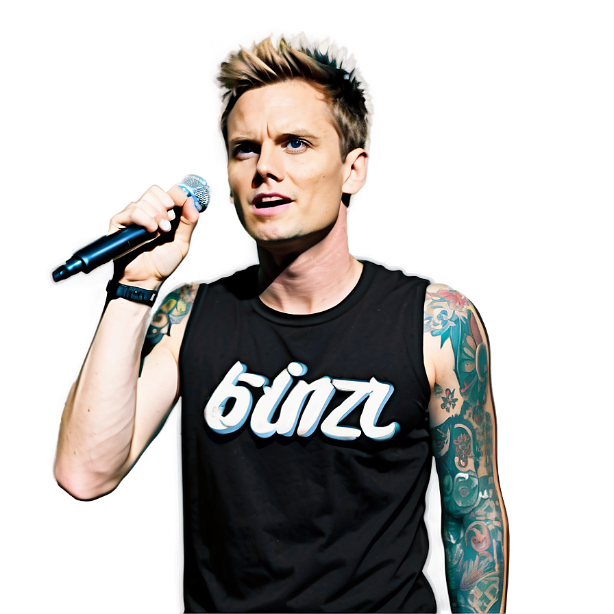 Blink-182 Live Concert Scene Png 73 PNG