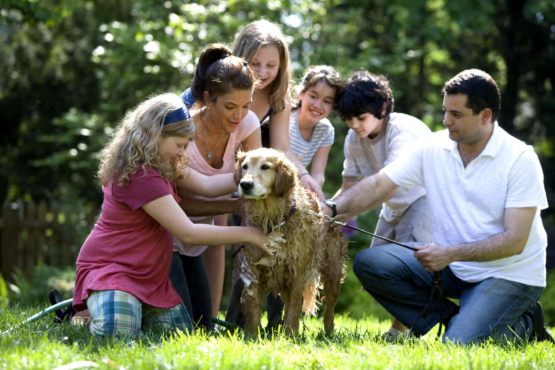 Blissful Canine Family Enjoying Outdoor Playtime Wallpaper