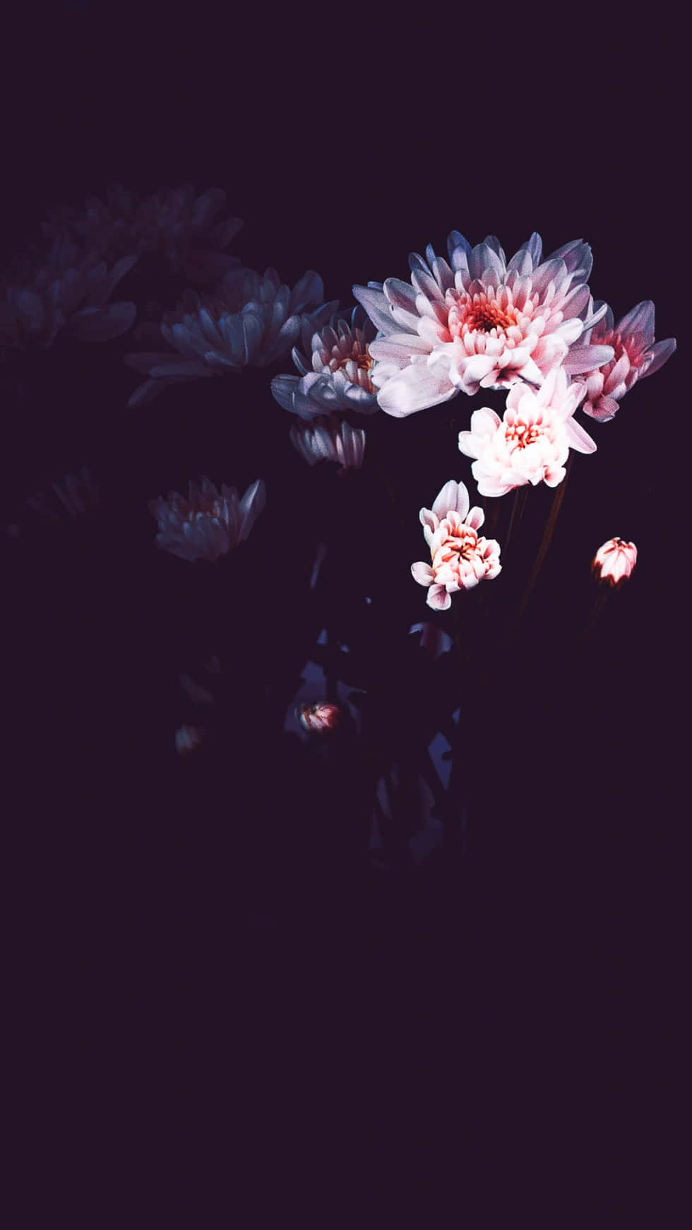 Blommatelefon 980 X 1741 Bakgrund