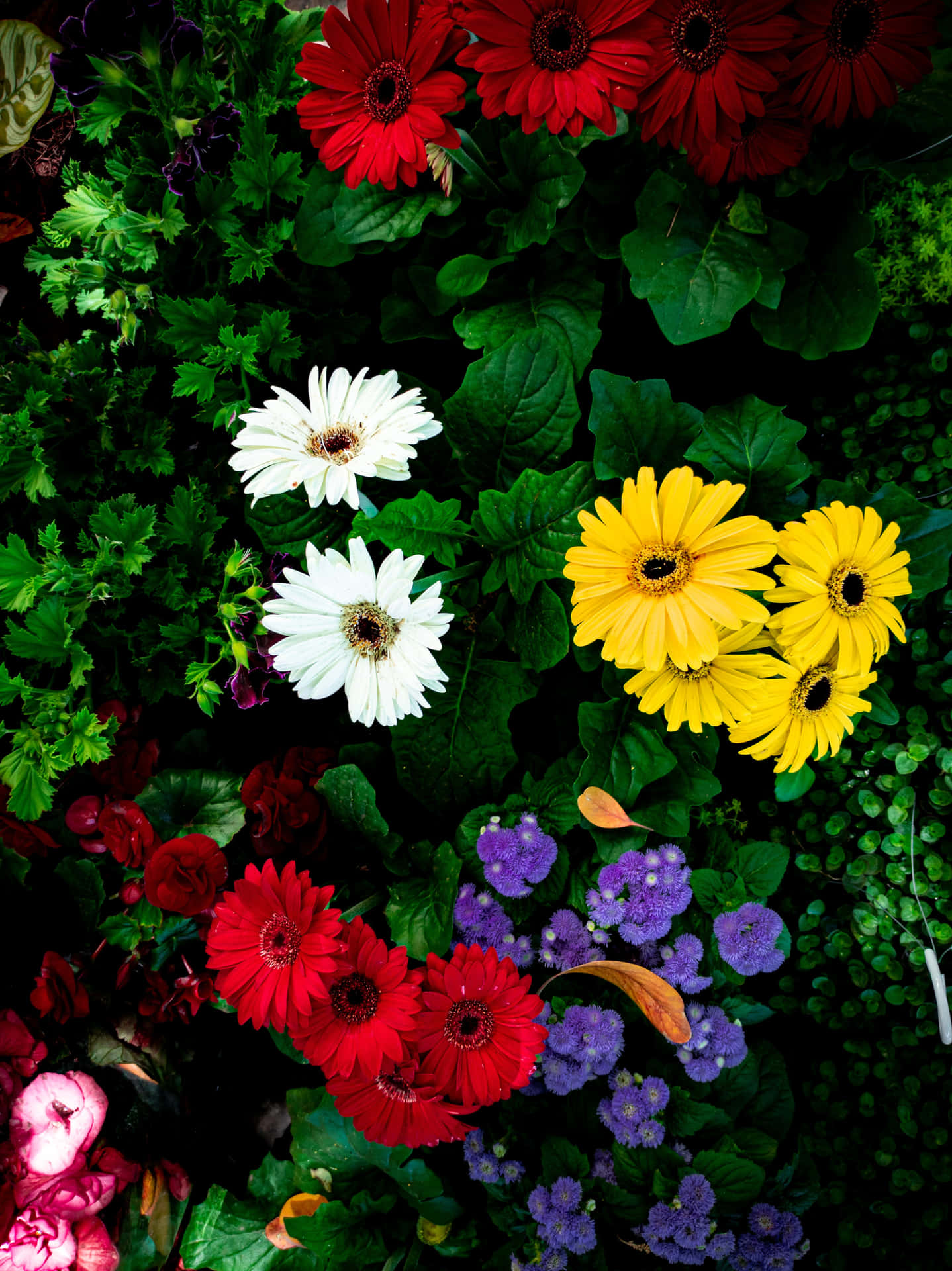 Blomsterbakgrund
