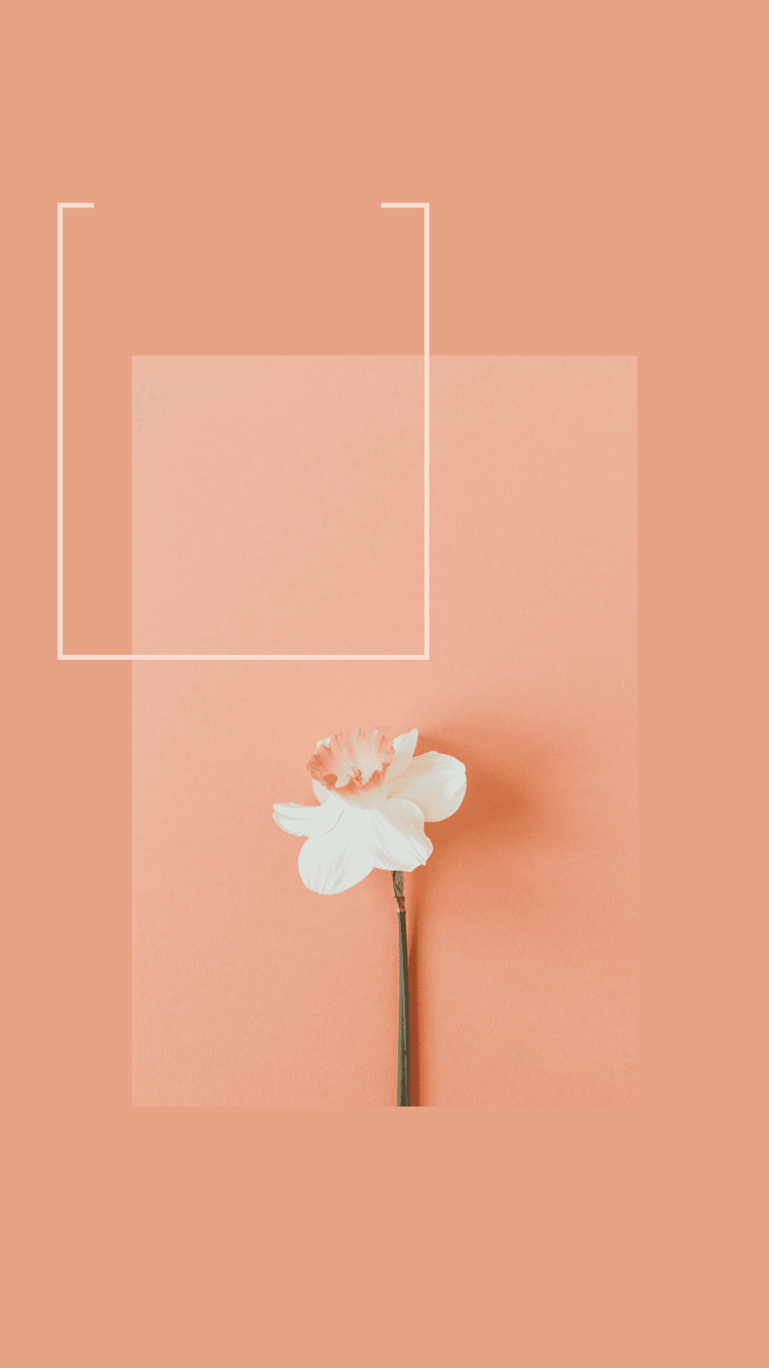 Blomsterdesignbakgrund