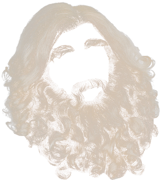 Blonde Curly Beard Illustration PNG