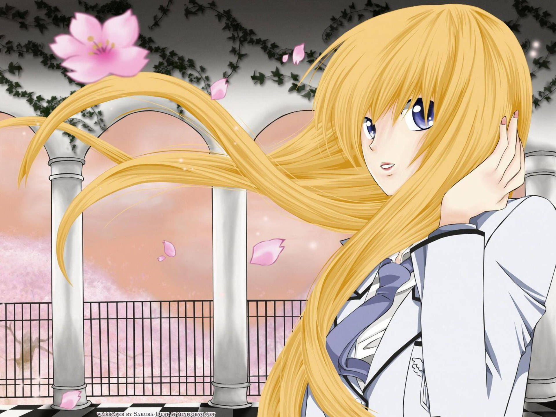 Blonde Hikari Special A Background
