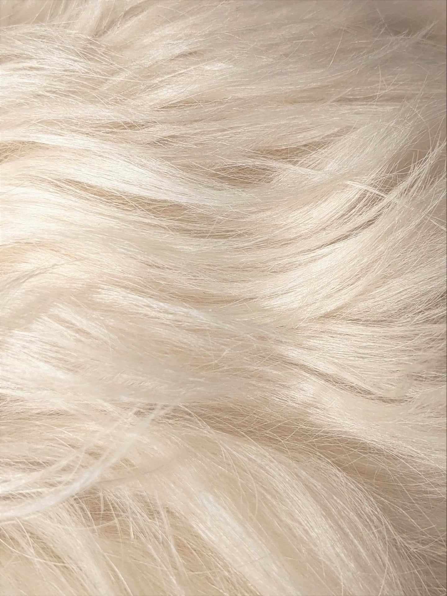 Blonde Textured Hair Closeup Wallpaper