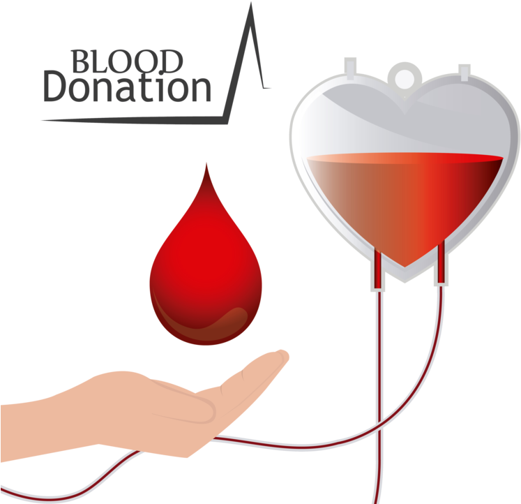 Blood Donation Concept Illustration PNG