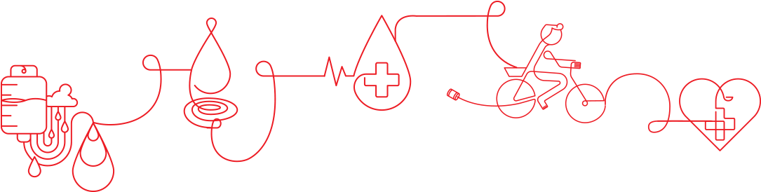 Blood Donation Process Graphic PNG