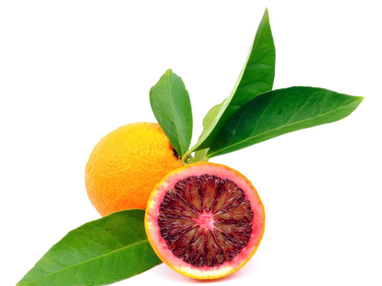 Blood Orange Citrus Fruit Minimalist Wallpaper