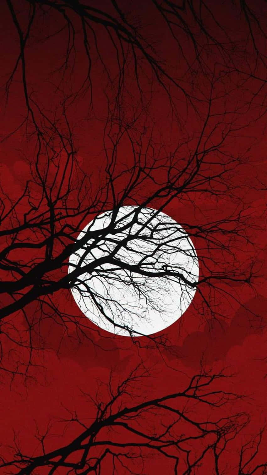 Blood Red Skyand Full Moon Wallpaper