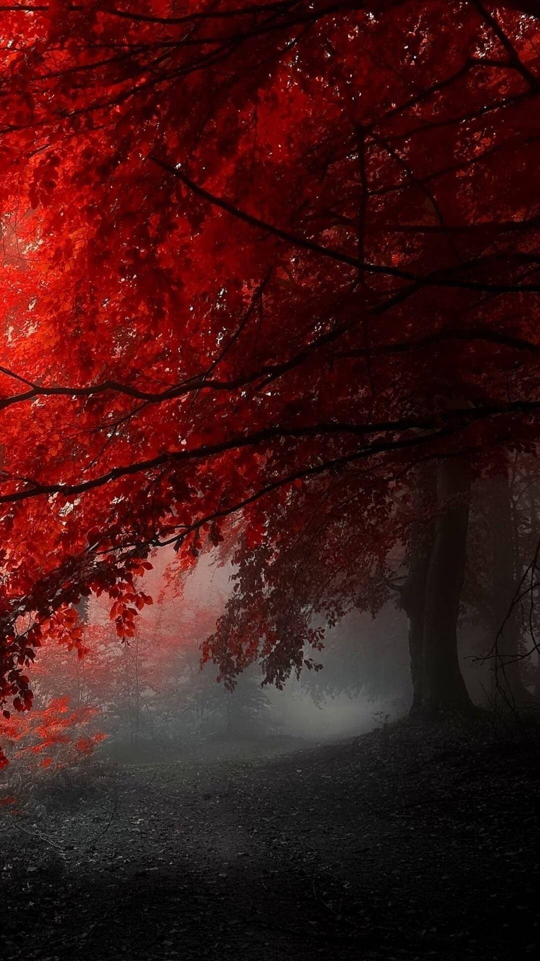 Blood Tree Forest In Red Iphone Wallpaper