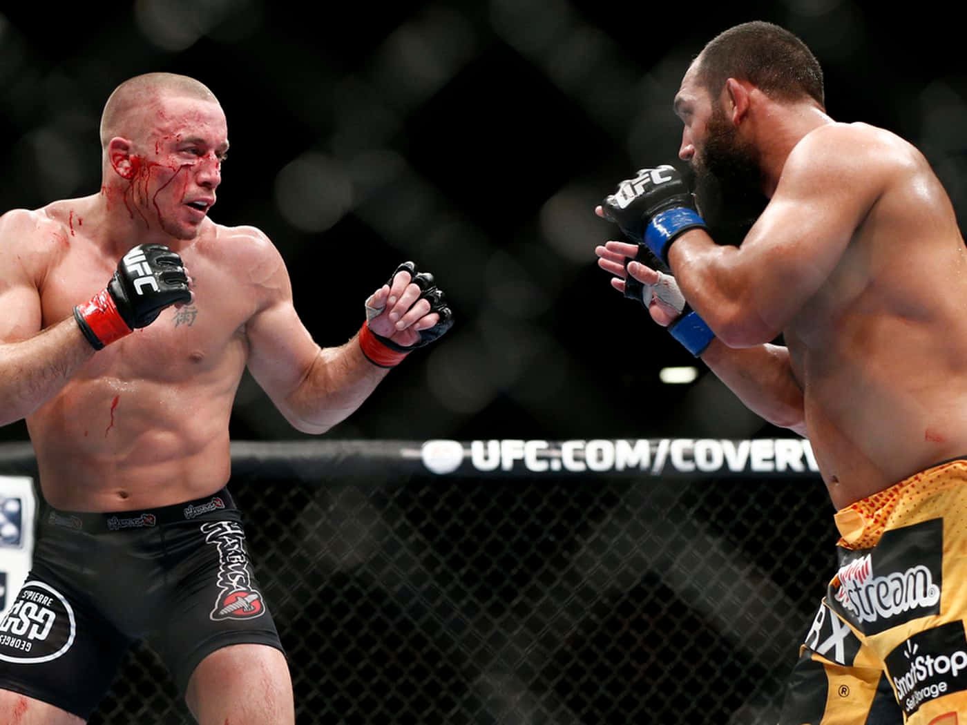 Bloody Georges St-pierre And Johny Hendricks Wallpaper