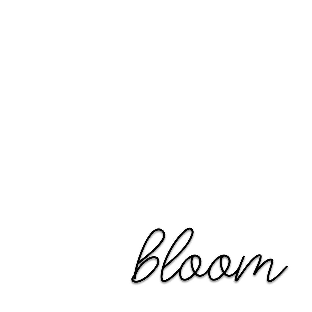 Bloom Cursive Writing Plain White Wallpaper