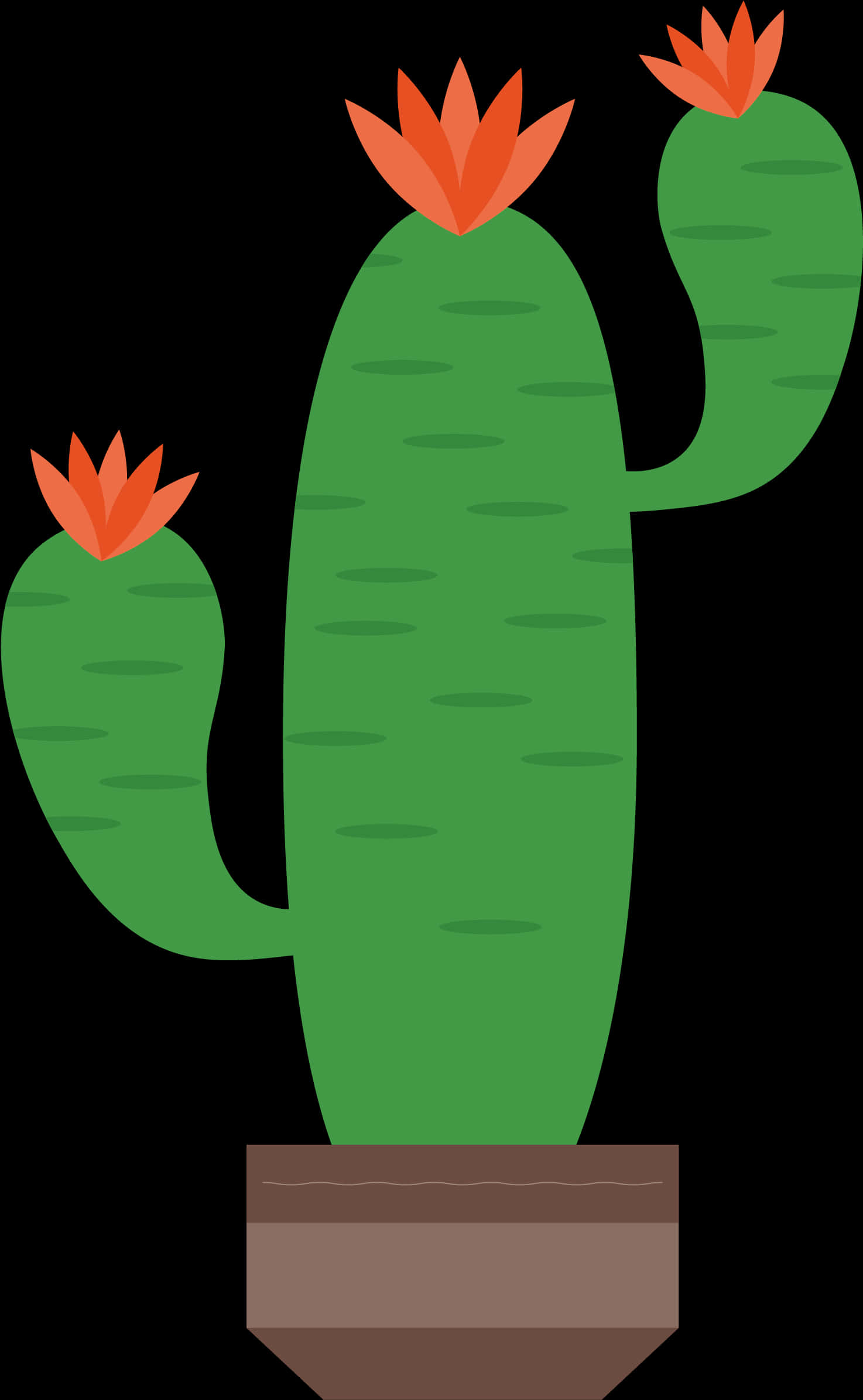 Blooming Cactus Vector Illustration PNG