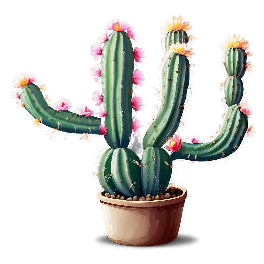 Blooming Cactus Png 9 PNG
