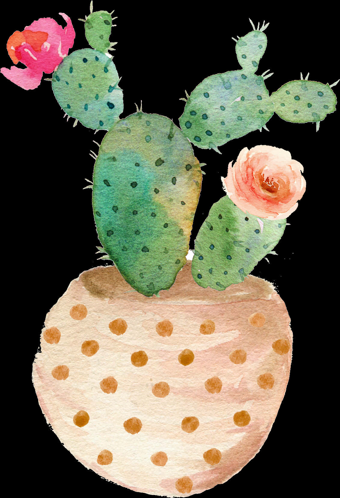Blooming Cactus Watercolor Art PNG