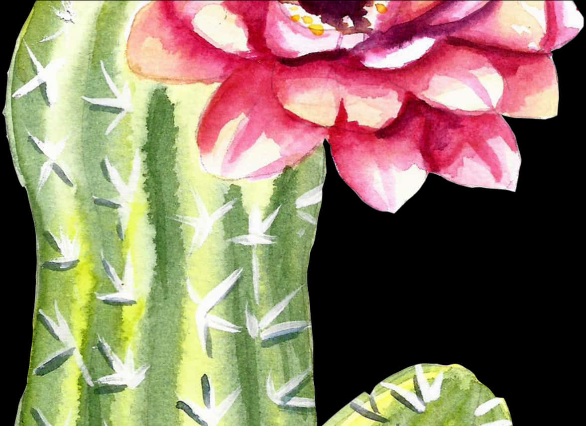 Blooming Cactus Watercolor Art PNG