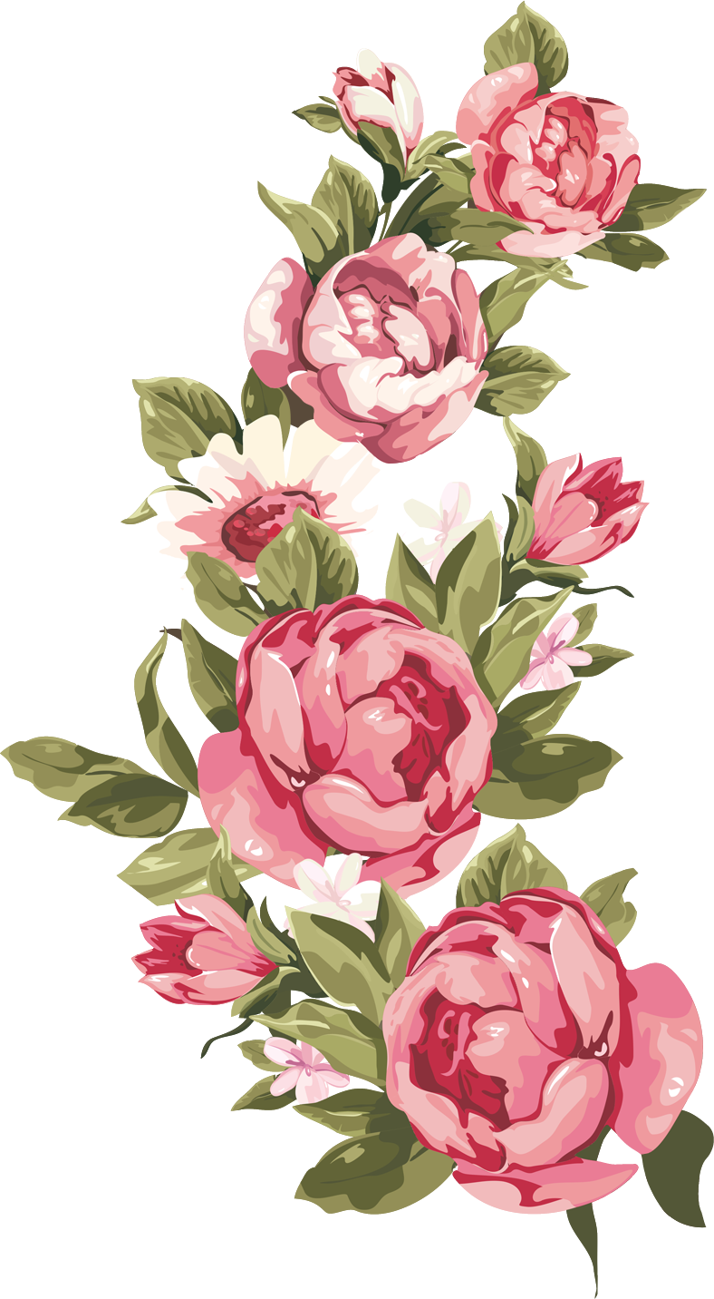 Blooming Camellia Illustration PNG