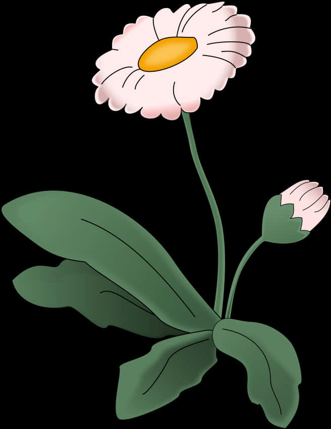 Blooming Daisy Vector Illustration PNG