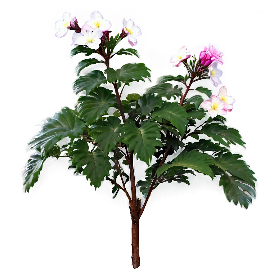 Blooming Flower Bush Png Dps88 PNG