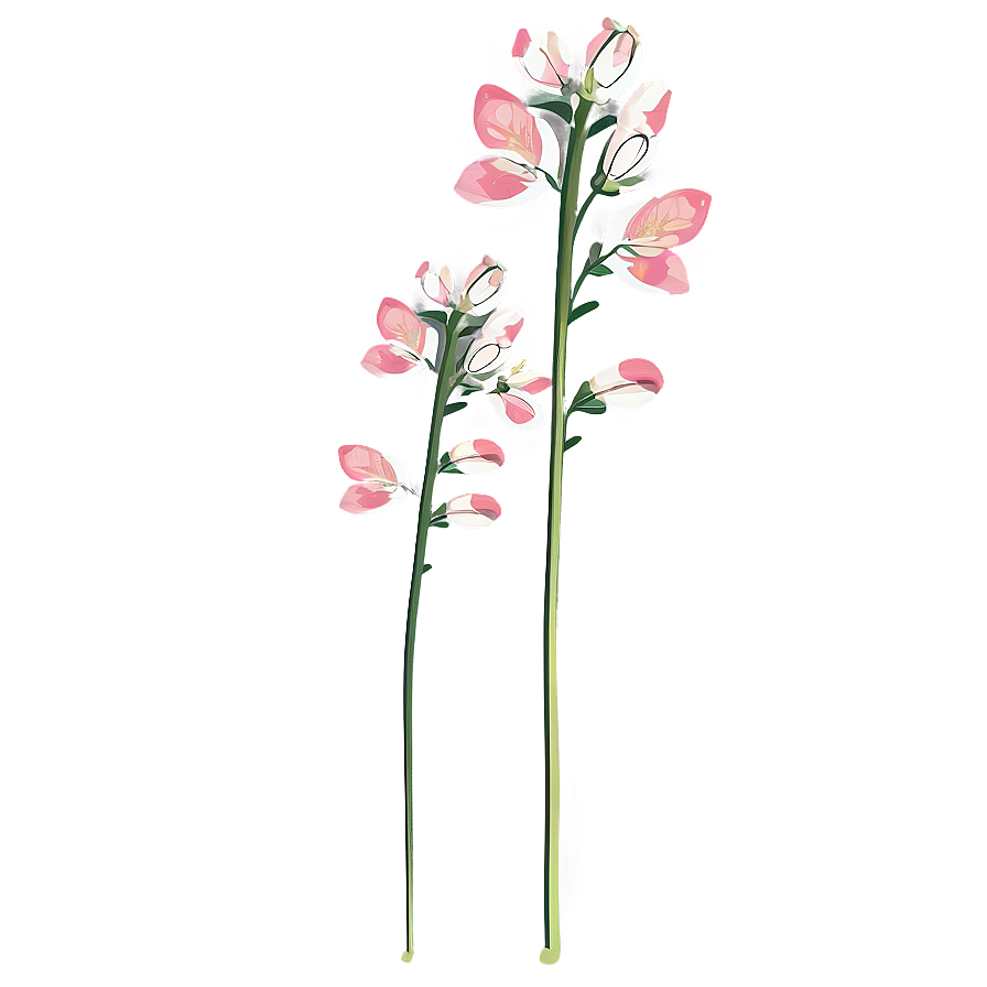 Blooming Flower Stem Png Fgb PNG