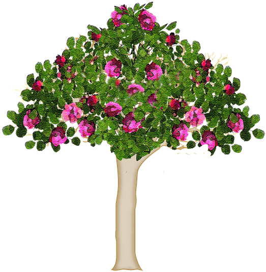 Blooming Flower Tree Illustration.png PNG