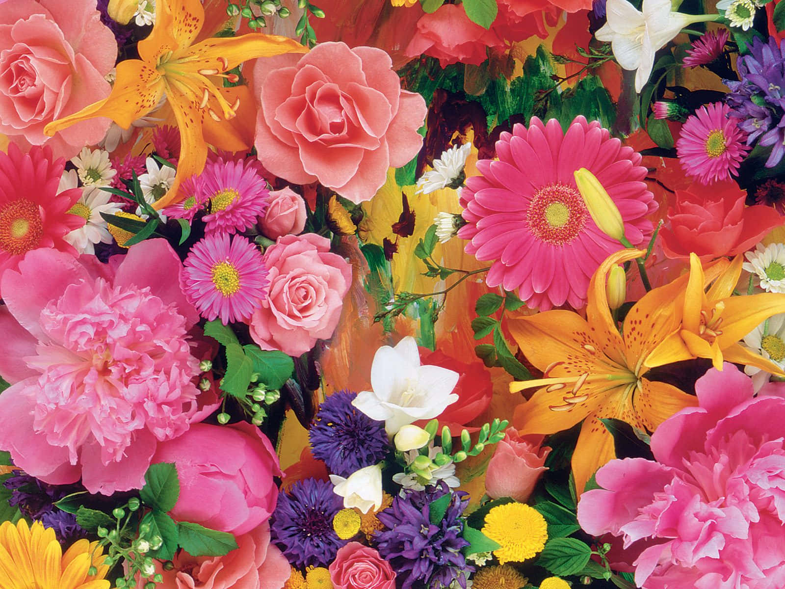 Caption: Vibrant Blooming Flowers in a Garden Wallpaper