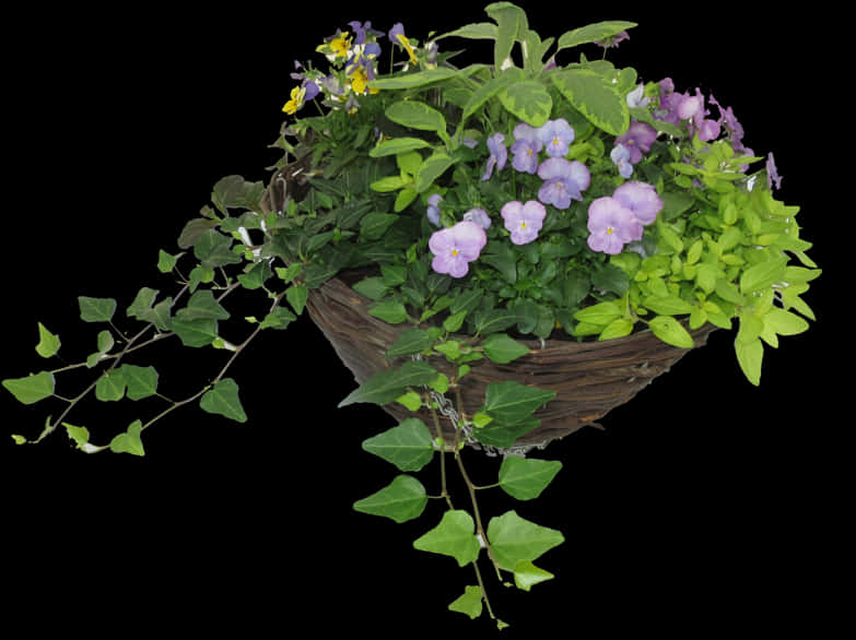 Blooming Hanging Basket Floral Display PNG