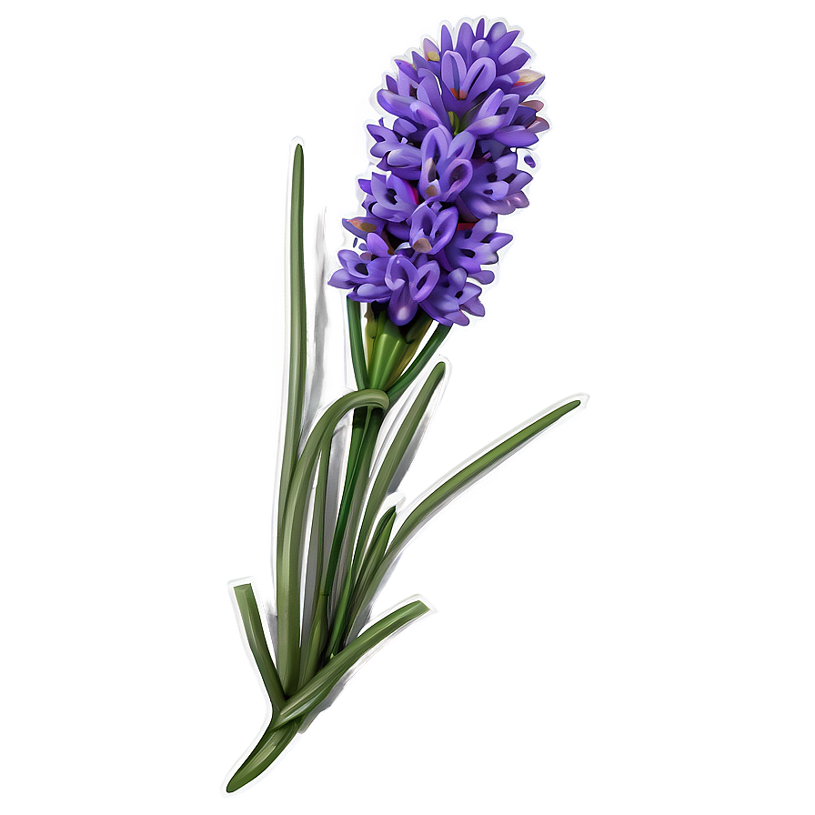 Blooming Lavender Png Mwy29 PNG