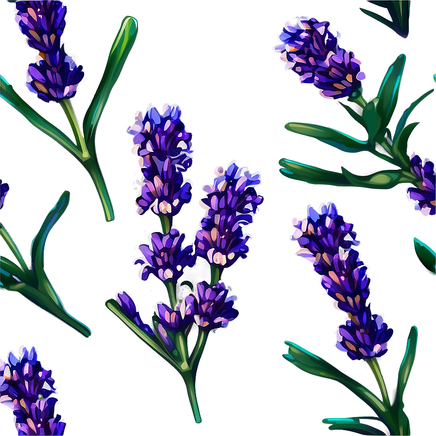 Blooming Lavender Png Uct11 PNG