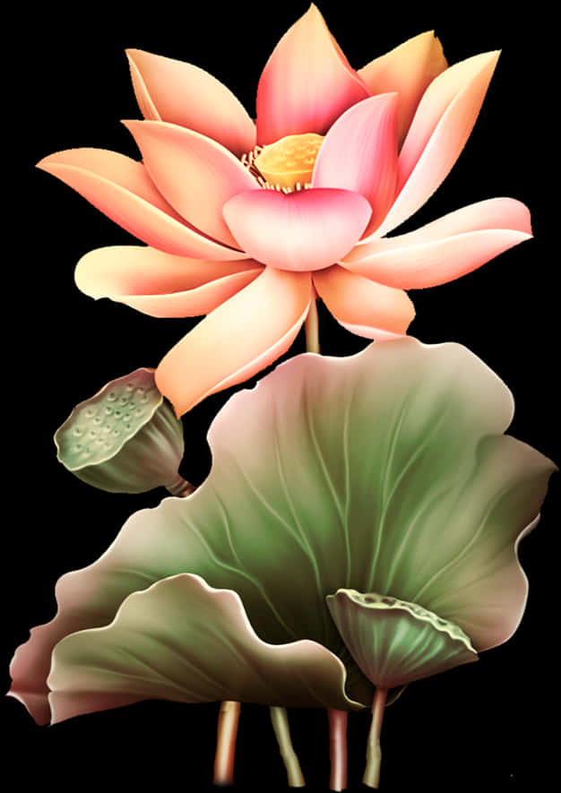 Blooming Lotus Flower Artwork PNG