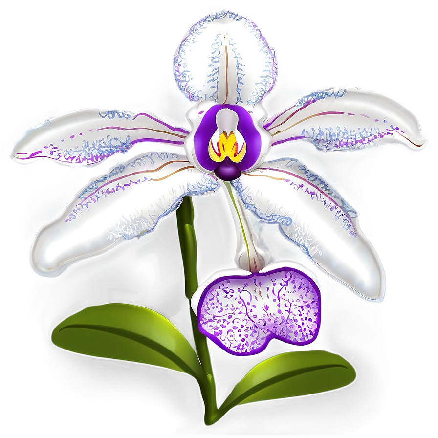 Blooming Orchid Spring Png Uew PNG