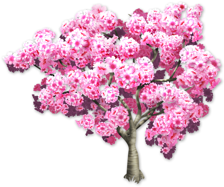 Blooming Pink Cherry Blossom Tree PNG
