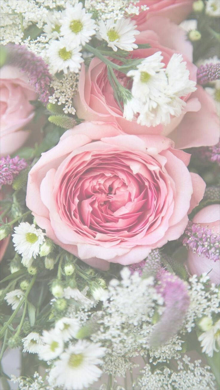 Blooming Pink Floral Iphone Wallpaper
